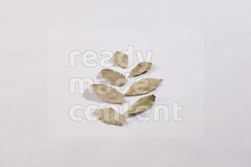 Dried bay leaves on white flooring in different angles