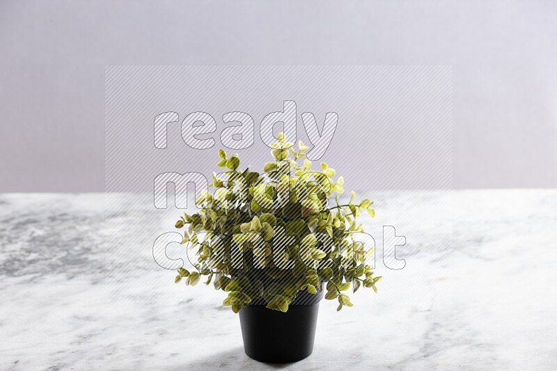 Green artificial plant in black pot on grey marble background