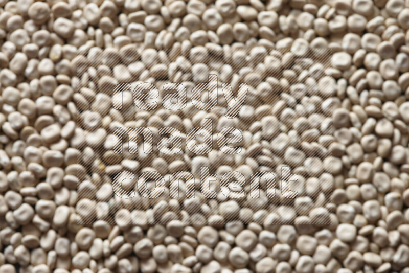 Out of focus lupin beans filling the frame