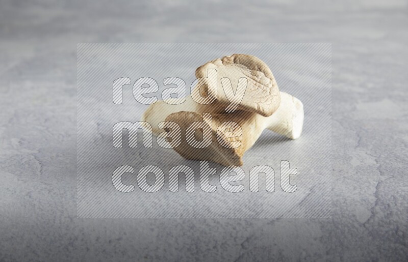 45 degre king oysters mushrooms on a textured light blue  background
