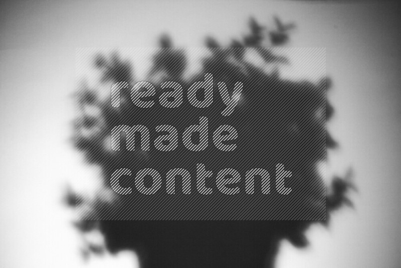 يظهر ضوء غوبو خافت ظلال أوراق نبات تسقط على سطح ناعم