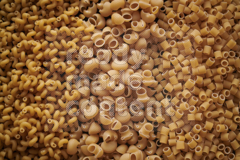 3 types of pasta filling the frame