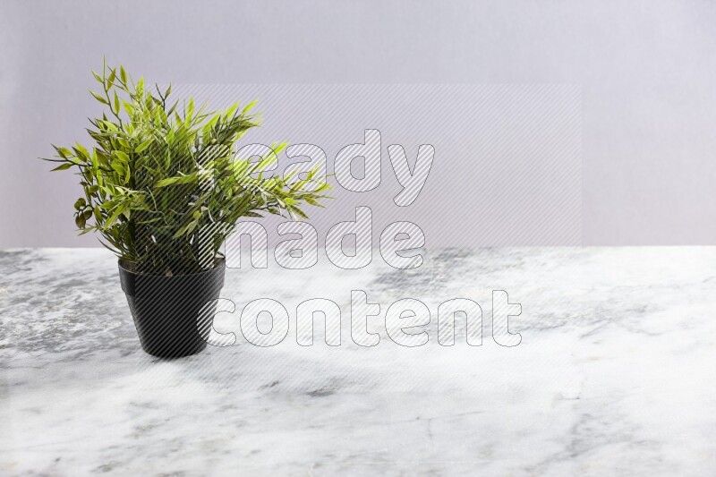 Green artificial plant in black pot on grey marble background