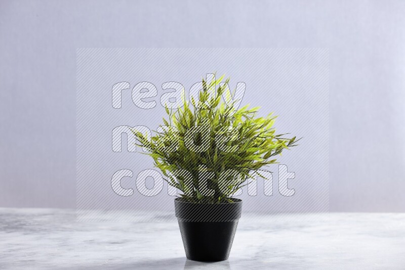 Green artificial plant in black pot on grey marble background