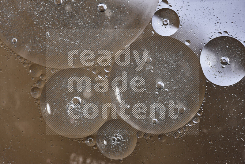 Close-ups of abstract oil bubbles on water surface in shades of white and brown