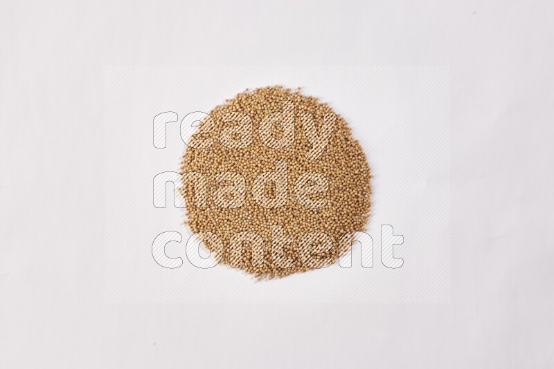 بذور الخردل علي شكل دائرة علي خلفية بيضاء