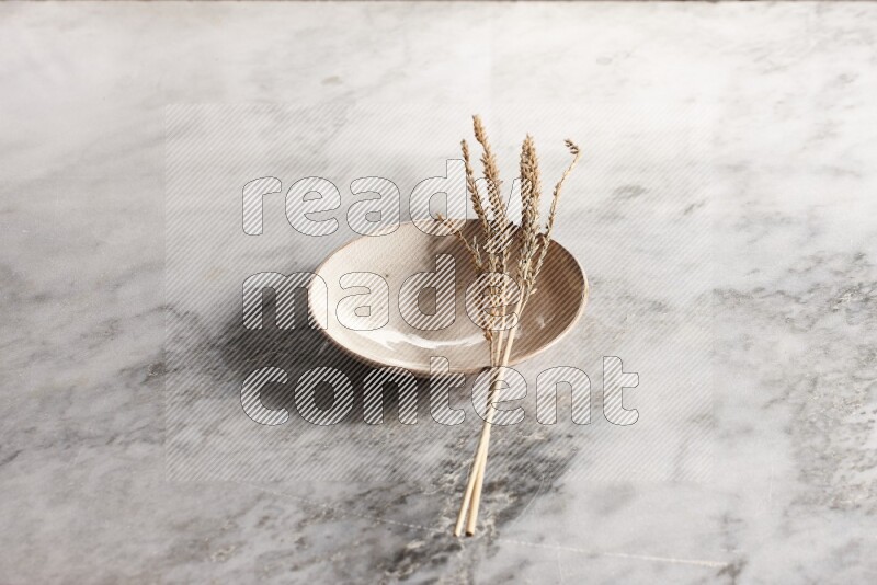 Wheat stalks on Beige Pottery Plate on grey marble flooring, 45 degree angel
