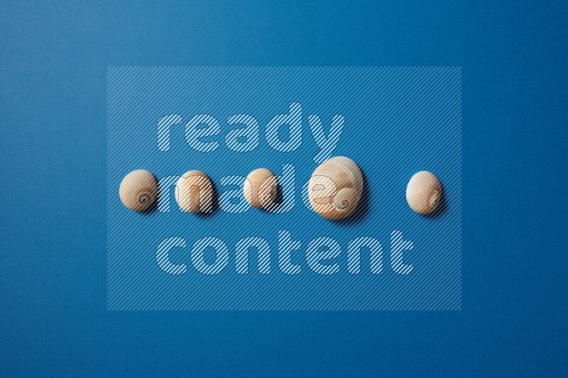top view shot of seashells arrangement on blue background