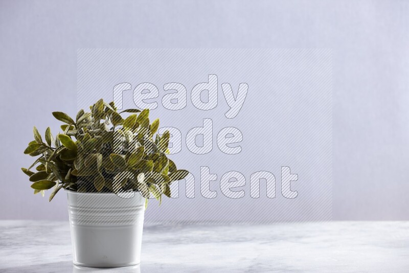 Green artificial plant in white pot on grey marble background