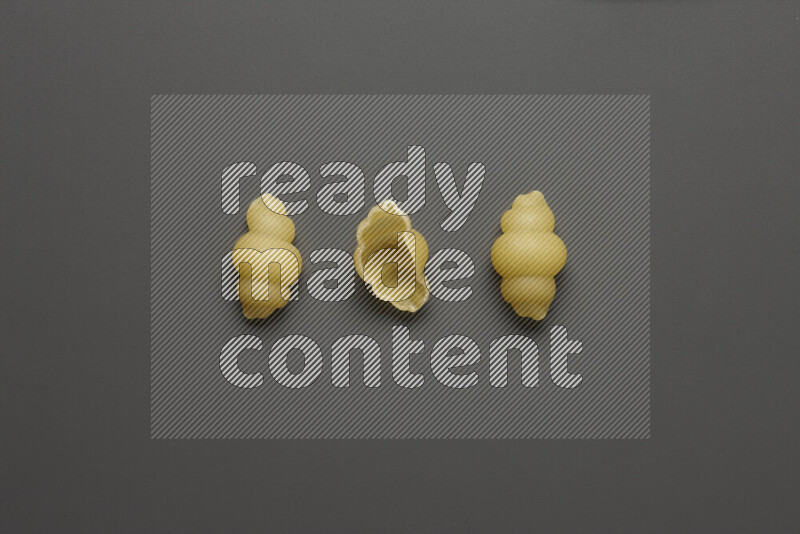 Snails pasta on grey background