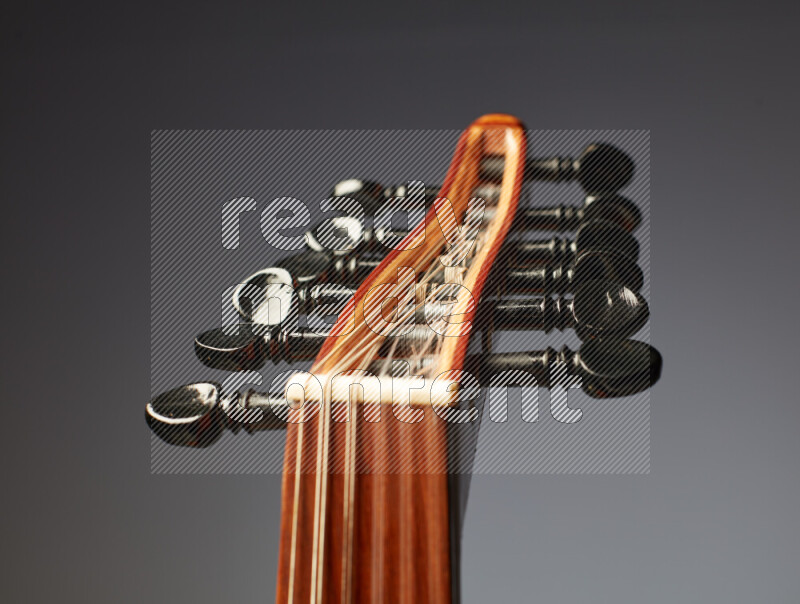 parts of a brown wooden Oud in a gray background