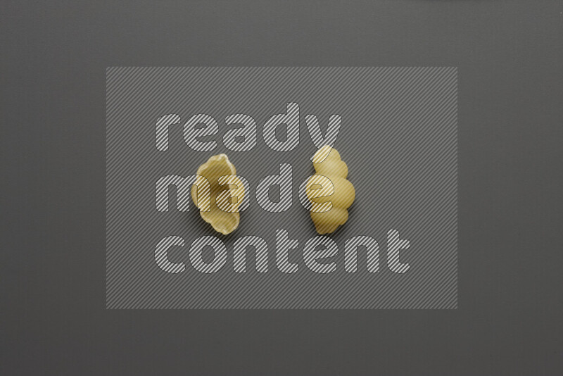 معكرونة قواقع علي خلفية رمادية