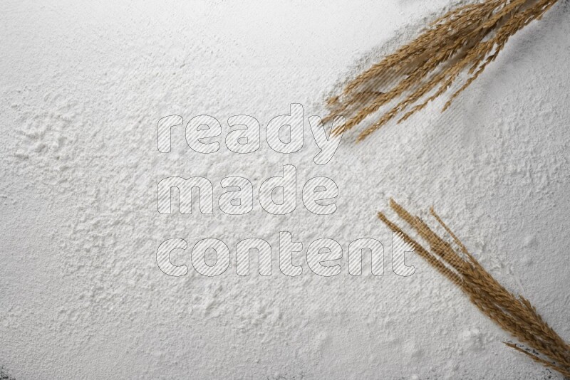 Wheat stalks on flour
