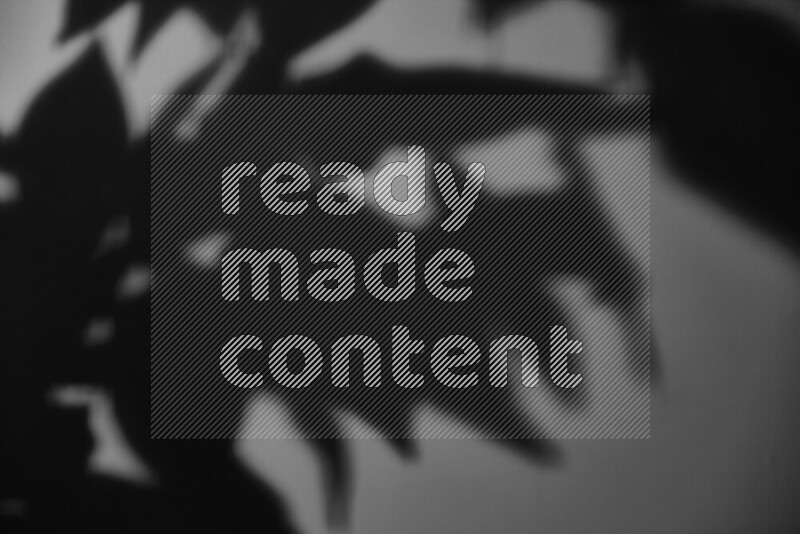 A delicate gobo light projects the silhouette of plant leaves onto a smooth surface