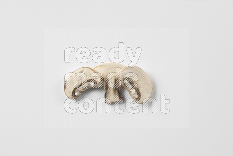 Mushrooms on white background