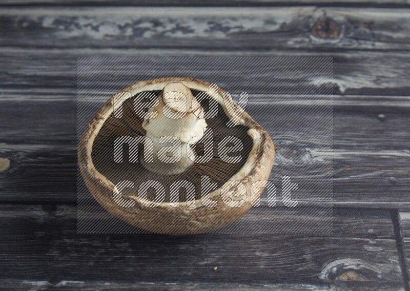 45 degree portobello mushrooms on a textured grey background
