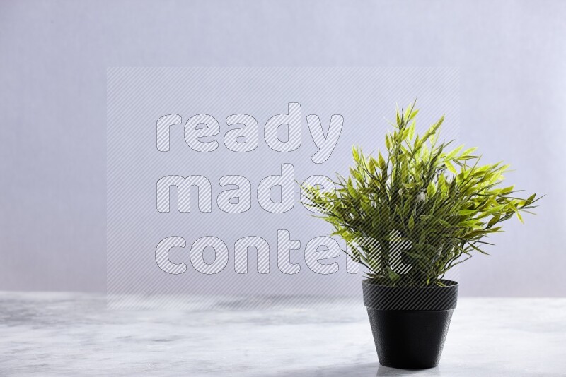 Green artificial plant in black pot on grey marble background