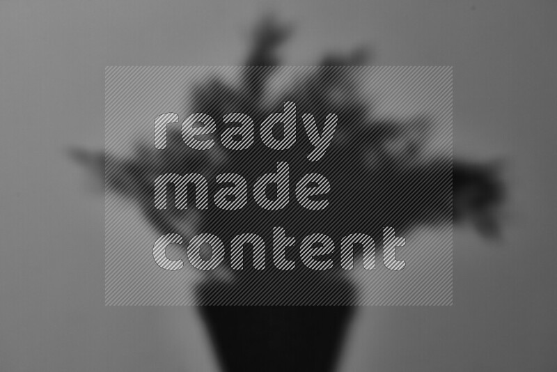 A delicate gobo light projects the silhouette of plant leaves onto a smooth surface