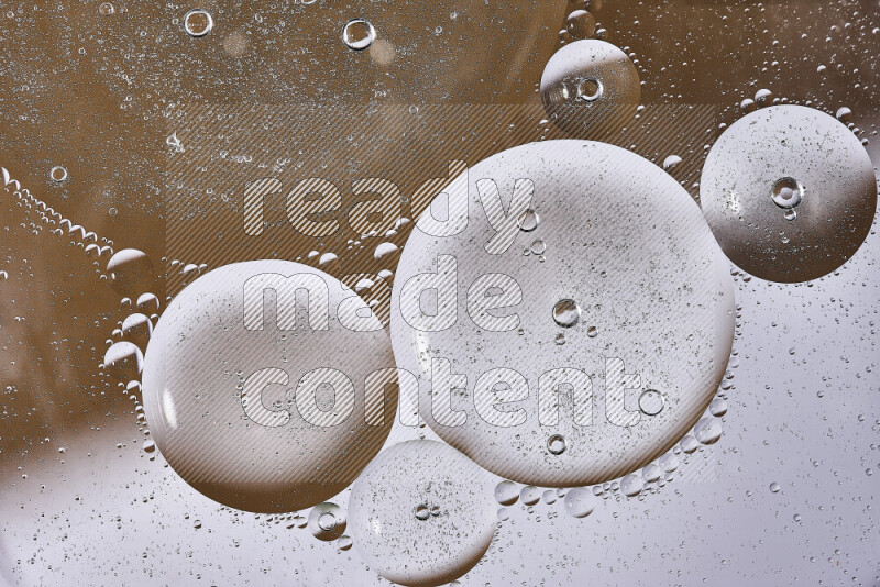 Close-ups of abstract oil bubbles on water surface in shades of white and brown
