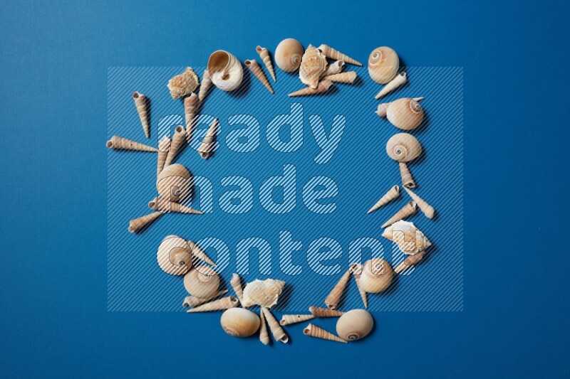 top view shot of seashells arrangement on blue background