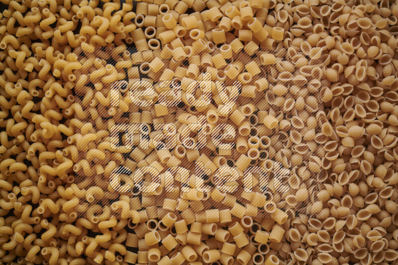 3 types of pasta filling the frame