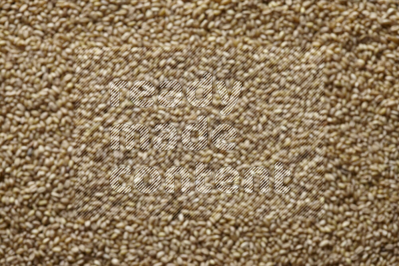 Out of focus hulled wheat filling the frame