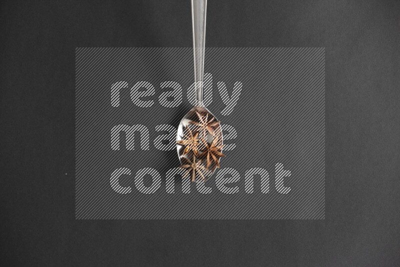 Star Anise in a metal spoon on black flooring