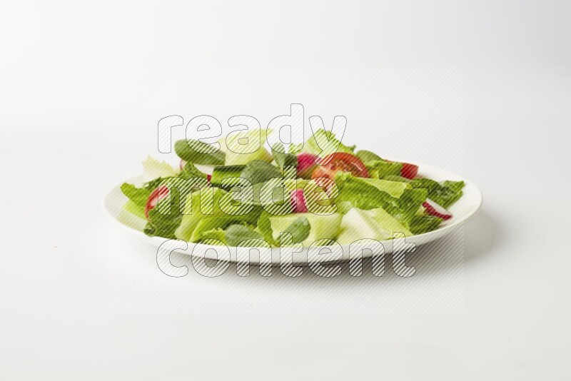 fattoush salad in a white plate direct on a white background