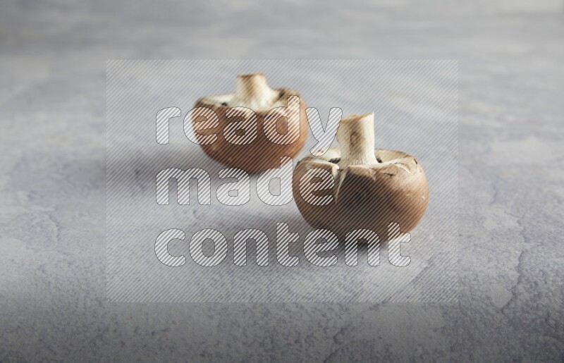 45 degre cremini  mushrooms on a textured light blue background