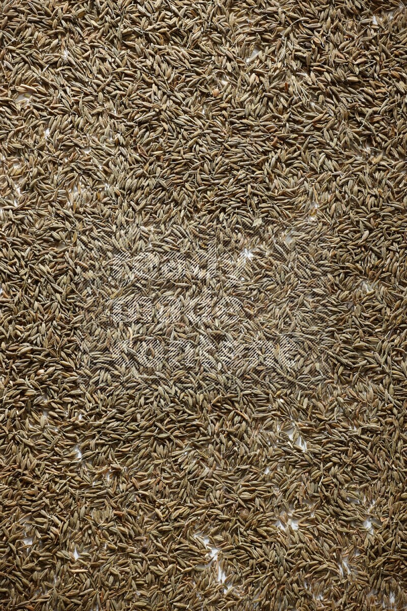 Cumin seeds on white flooring