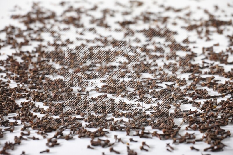 Cloves spread on white flooring