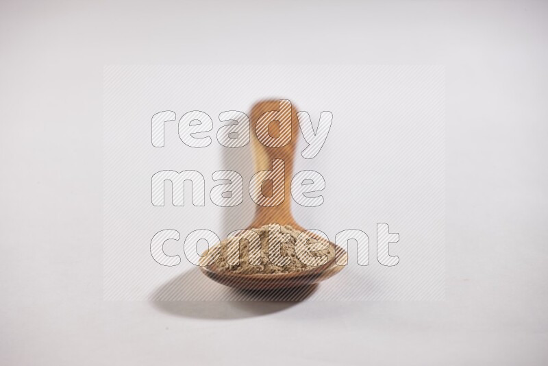 A wooden ladle full of garlic powder on a white flooring