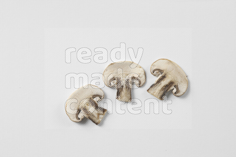 Mushrooms on white background