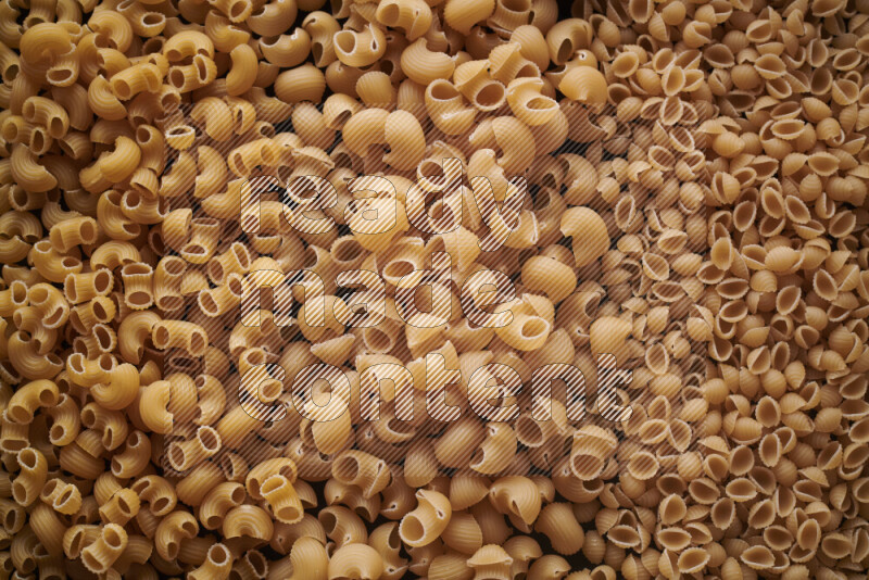 3 types of pasta filling the frame