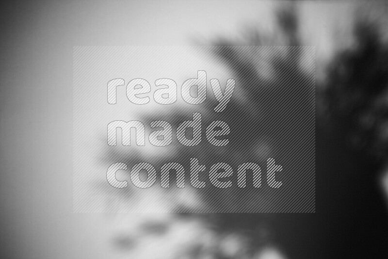 A delicate gobo light projects the silhouette of plant leaves onto a smooth surface