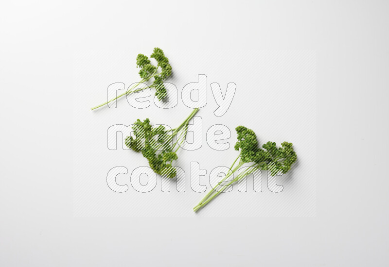 Fresh curly lettuce sprigs with vibrant green leaves on white background