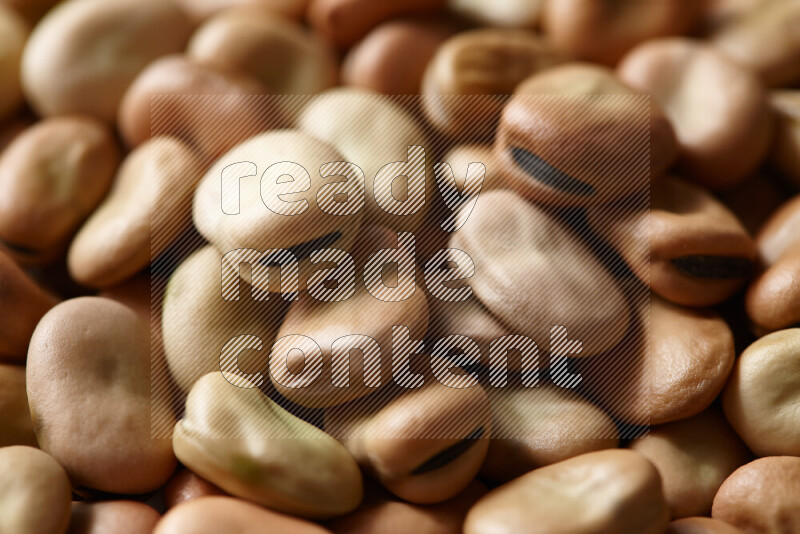 Fava beans on white background