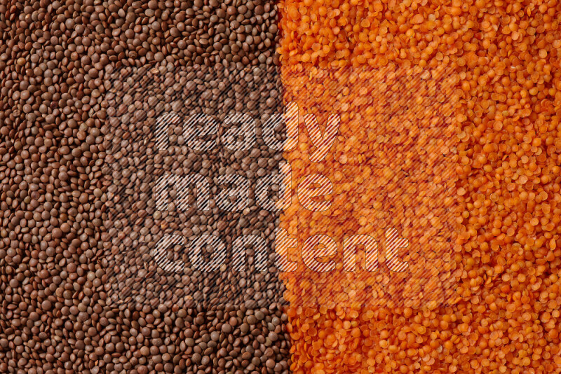 Lentils on white background
