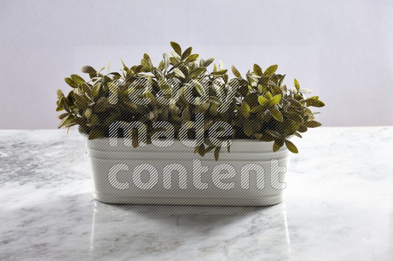 Multiple green artificial plants in white pot on grey marble background