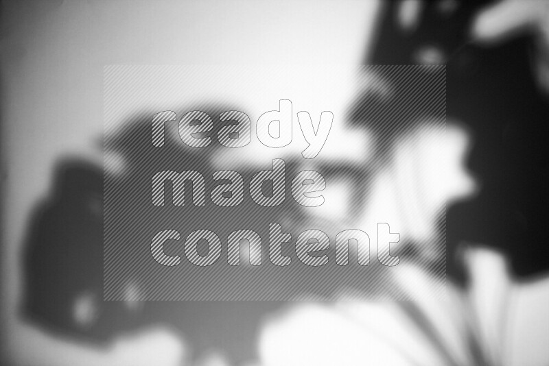 A delicate gobo light projects the silhouette of plant leaves onto a smooth surface