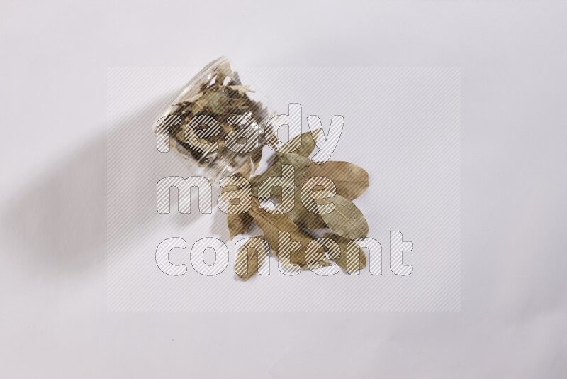 A glass jar full of dried bay leaves and jar is flipped and leaves spread out on white flooring