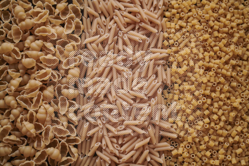 3 types of pasta filling the frame