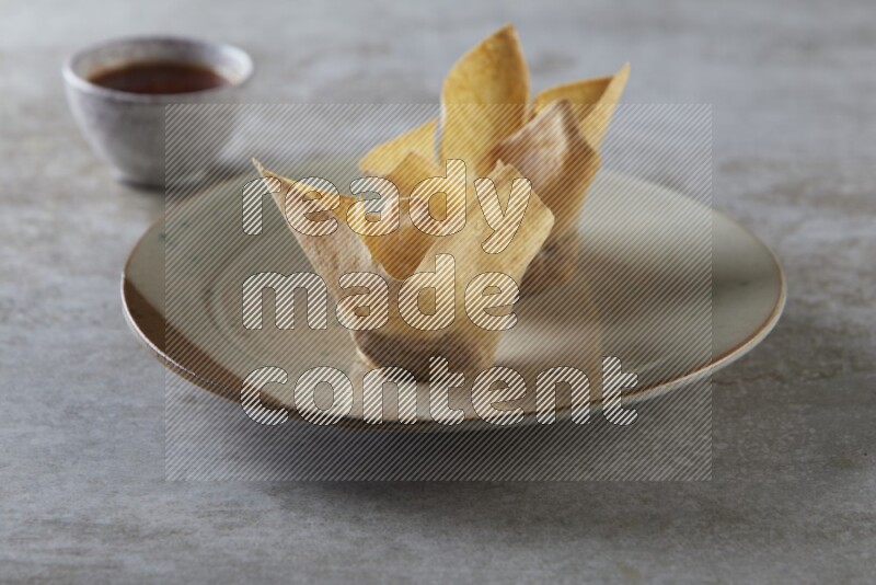 wonton cups with soy sauce ramkin on multi colored pottery on grey textured counter top