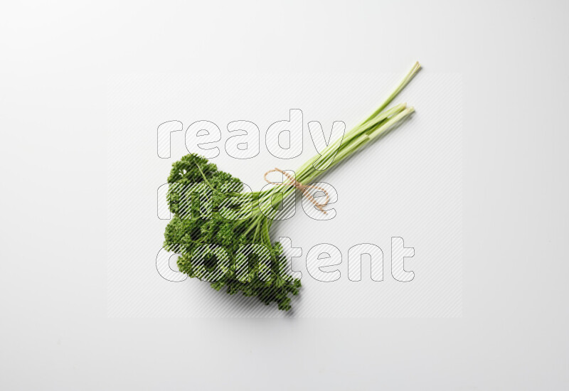 A bunch of fresh curly lettuce sprigs on a white background