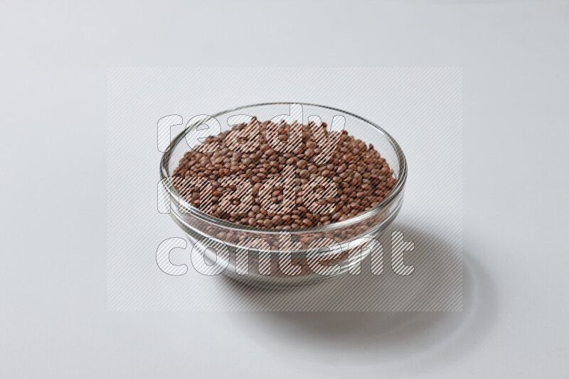 Brown lentils on white background