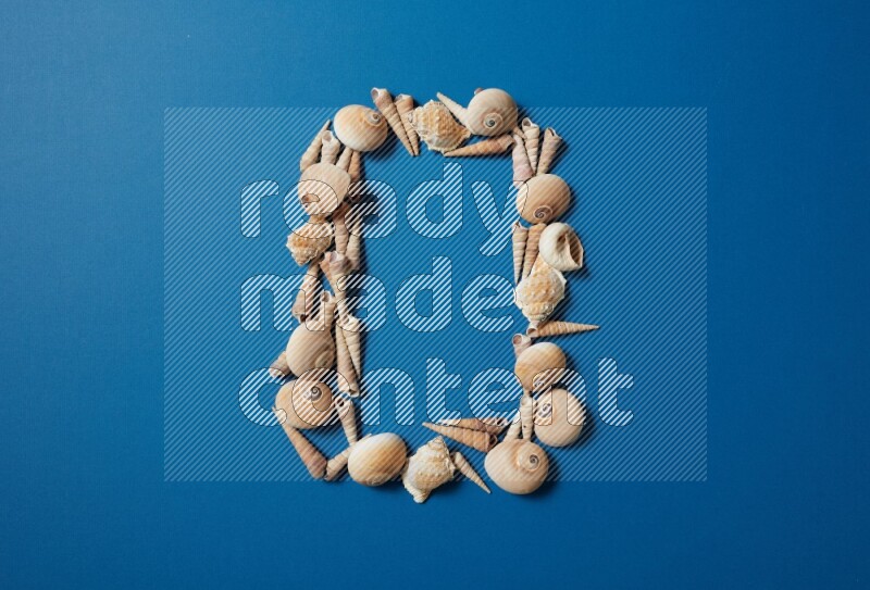 top view shot of seashells arrangement on blue background