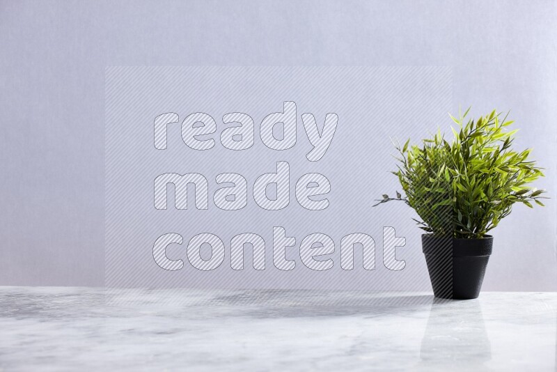 Green artificial plant in black pot on grey marble background