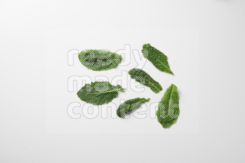 An array of kale leaves spread out on a white background