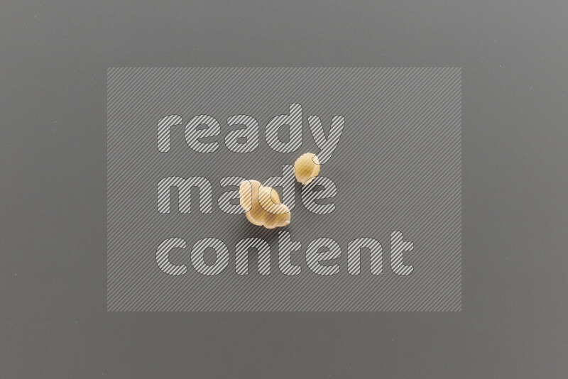 معكرونة قواقع مع أنواع أخري من المعكرونة علي خلفية رمادية