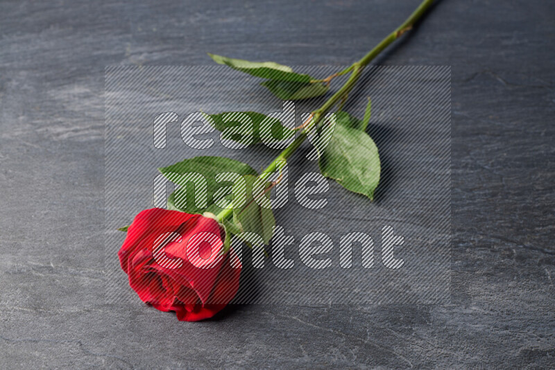 A single red rose with vibrant green leaves on black marble background